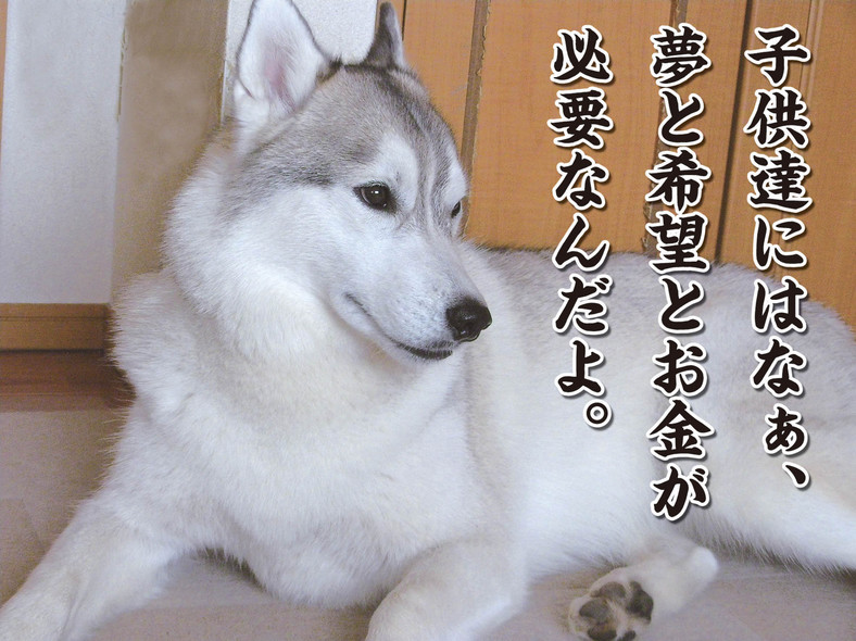 �����㓙!!