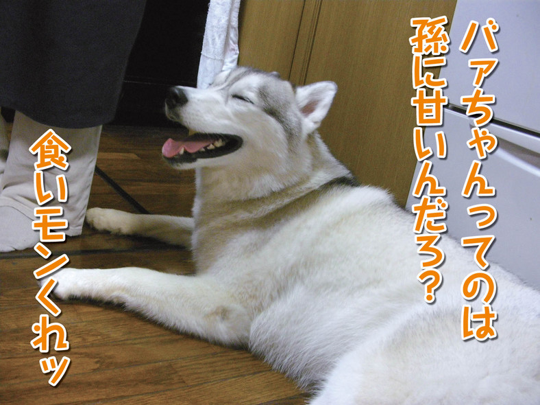 �����㓙!!