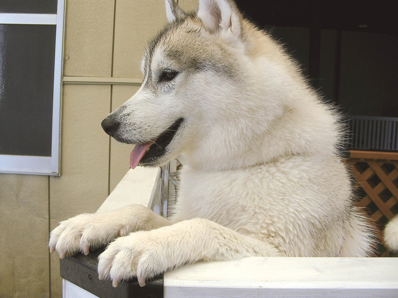 �����㓙!!