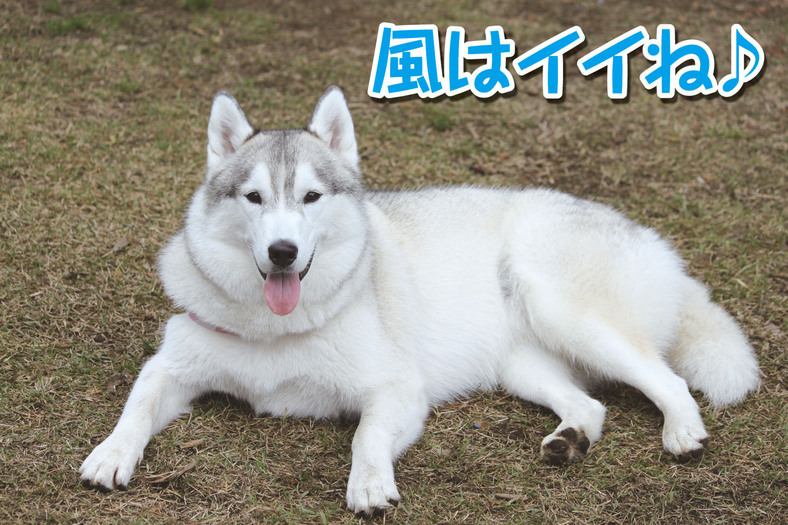 �����㓙!!