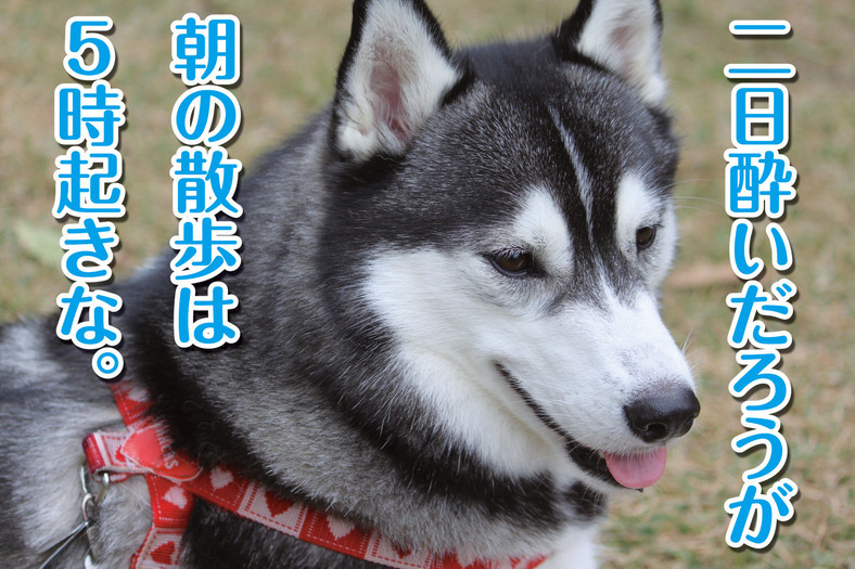 �����㓙!!