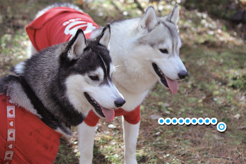 �����㓙!!