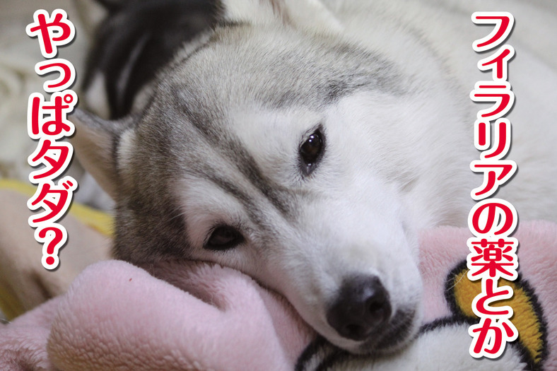 �����㓙!!