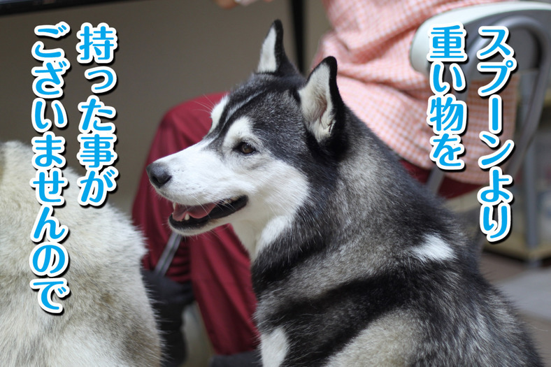 �����㓙!!