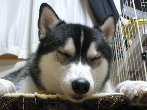 �����㓙!!