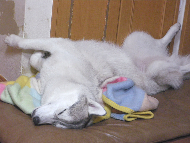 �����㓙!!