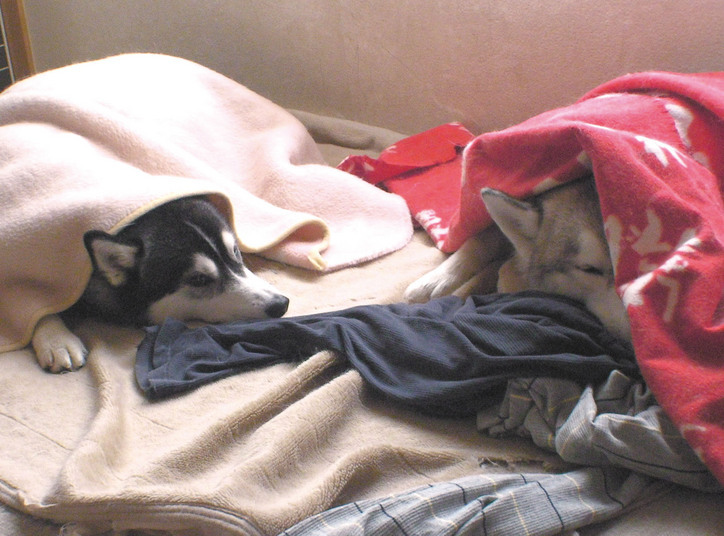 �����㓙!!