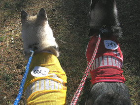 �����㓙!!