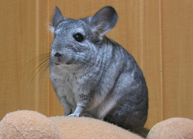 �����㓙!!