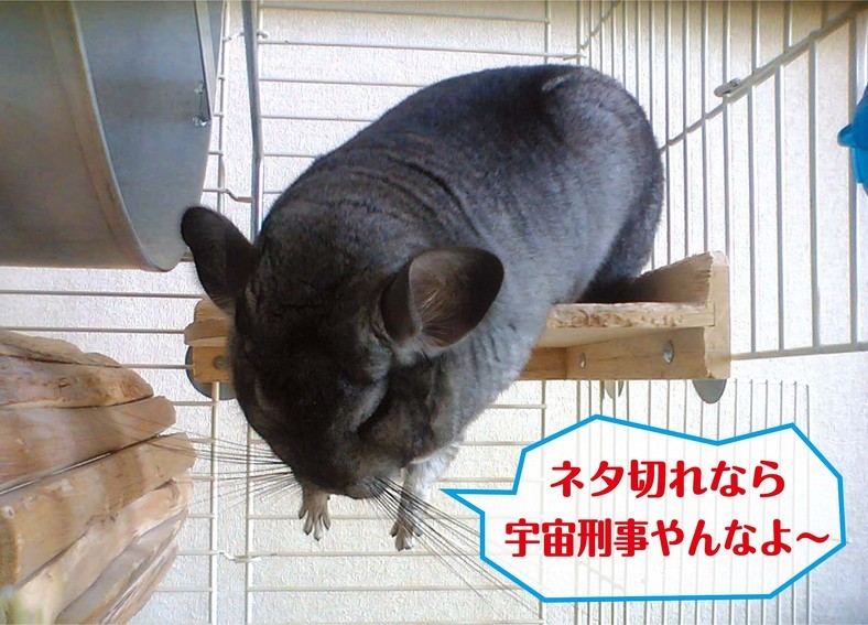 �����㓙!!