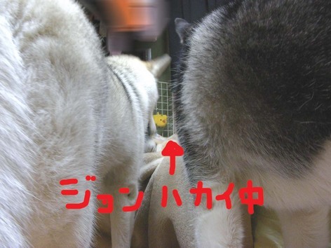 �����㓙!!