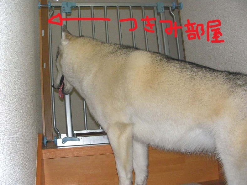 �����㓙!!