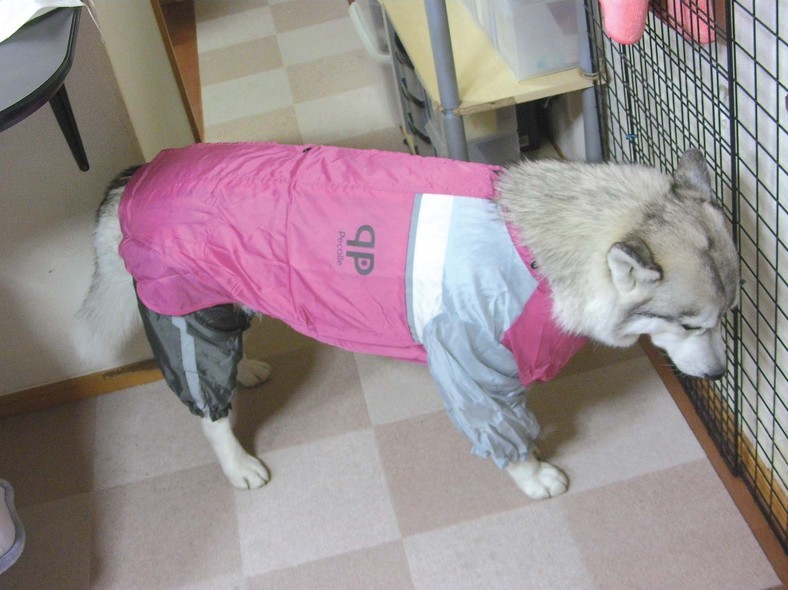 �����㓙!!