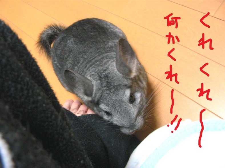 �����㓙!!