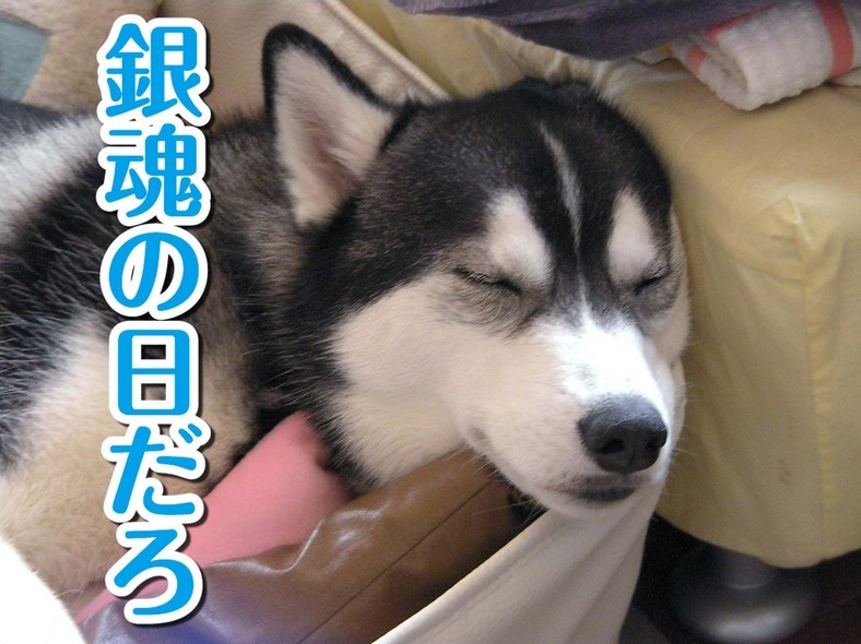 �����㓙!!