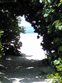 ���X�ɂ���