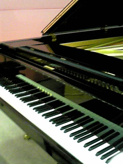 ���X�ɂ���