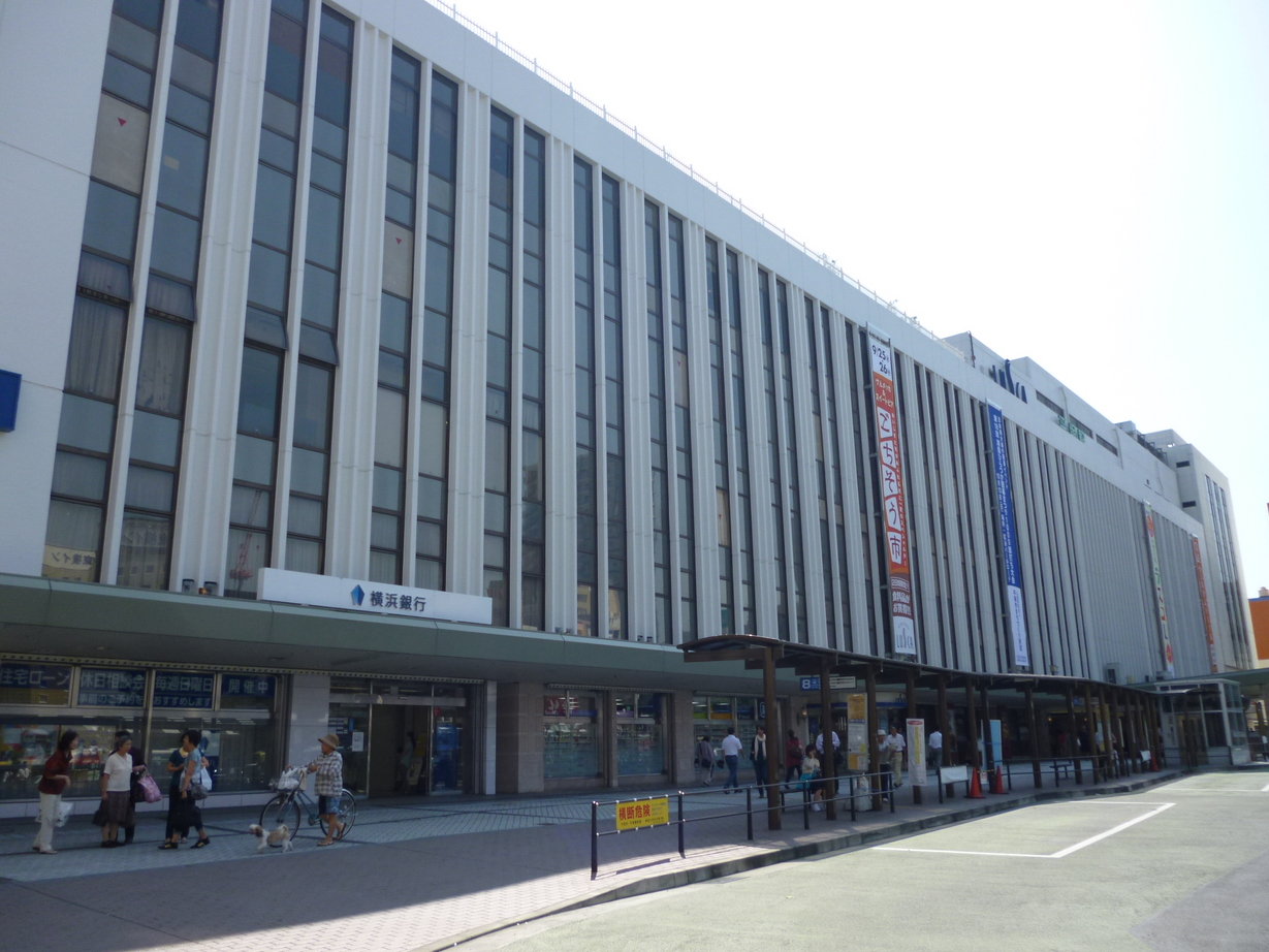 �킪�X�̌��C�ȉ��