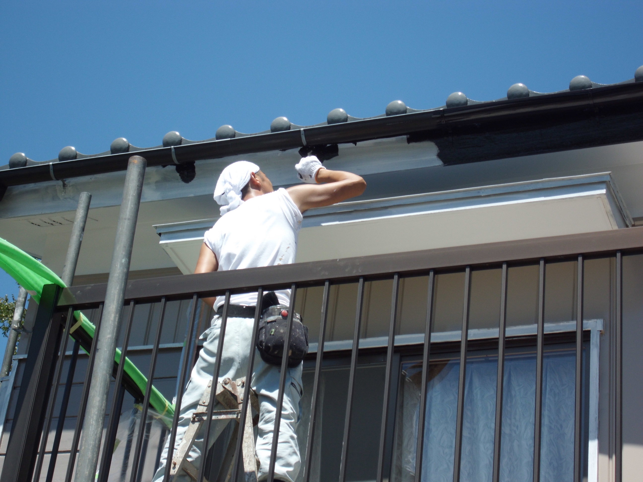 �킪�X�̌��C�ȉ��