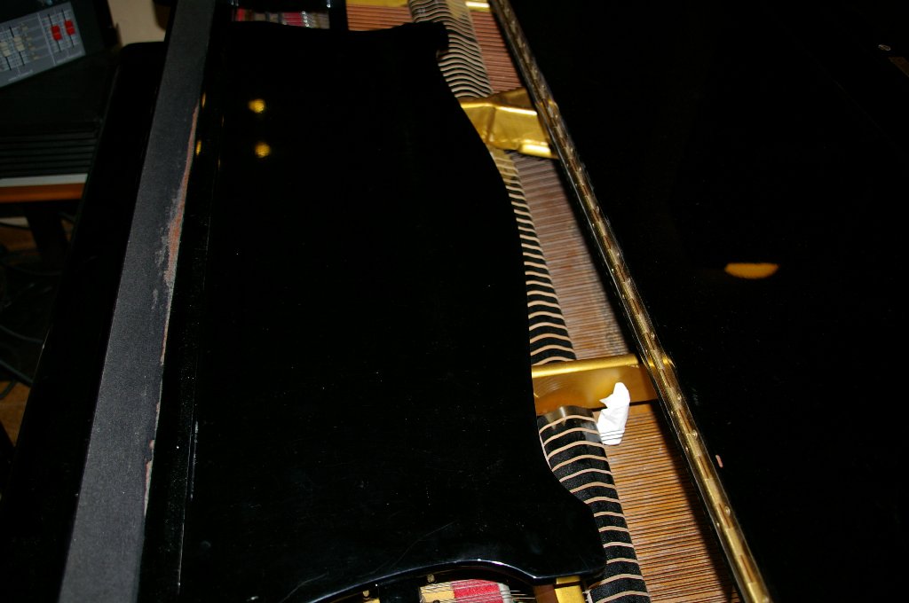 �V���N�}�y�c at Home