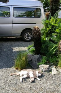 �V���N�}�y�c at Home