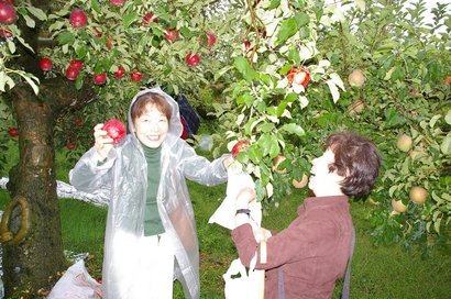 �V���N�}�y�c at Home