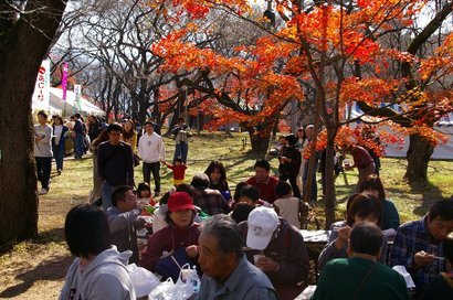 �V���N�}�y�c at Home