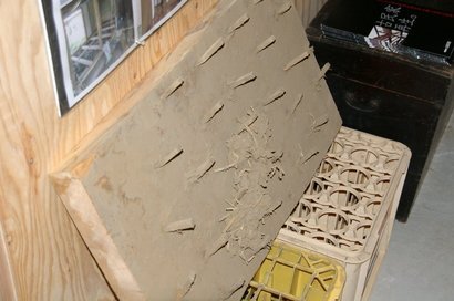 �V���N�}�y�c at Home