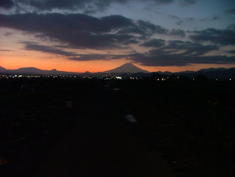 �V���N�}�y�c at Home