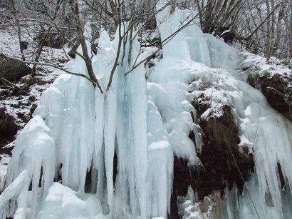 �V���N�}�y�c at Home