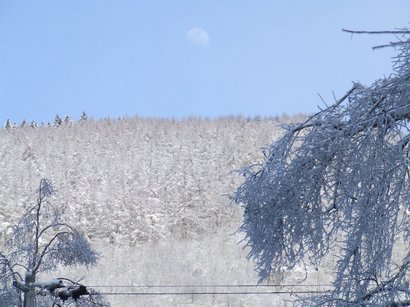 �V���N�}�y�c at Home