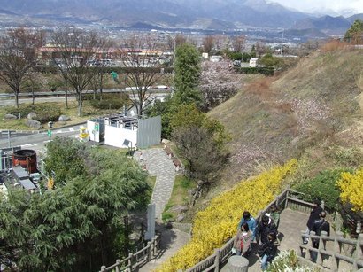 �V���N�}�y�c at Home