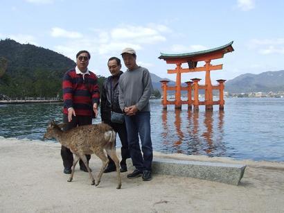 �V���N�}�y�c at Home