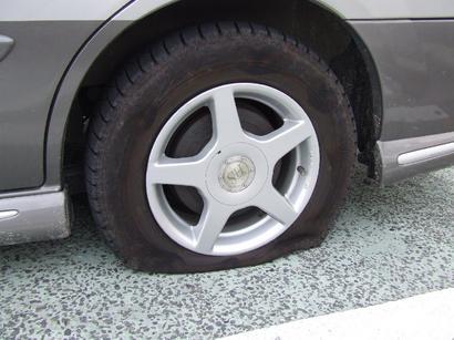 �V���N�}�y�c at Home