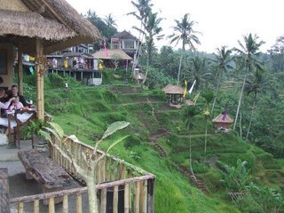 �V���N�}�y�c at Home