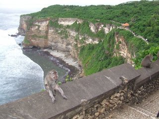 �V���N�}�y�c at Home