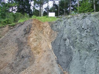 �V���N�}�y�c at Home