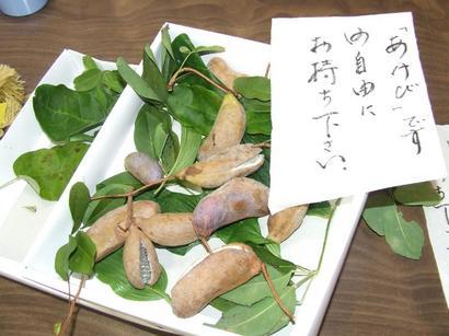 �V���N�}�y�c at Home