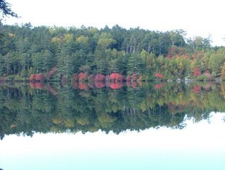 �V���N�}�y�c at Home