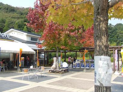 �V���N�}�y�c at Home