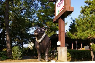 �V���N�}�y�c at Home