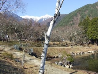 �V���N�}�y�c at Home