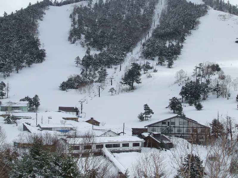 �V���N�}�y�c at Home