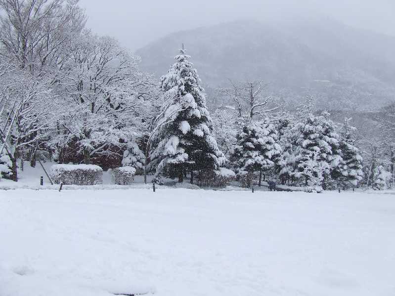 �V���N�}�y�c at Home