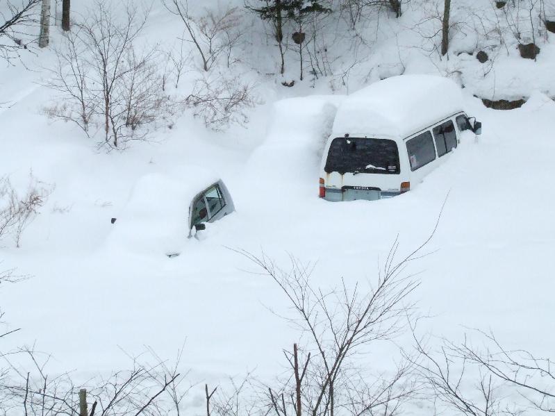 �V���N�}�y�c at Home