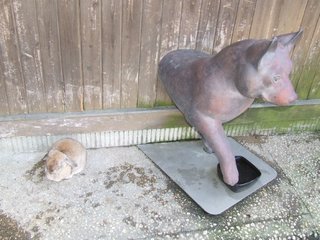 �V���N�}�y�c at Home