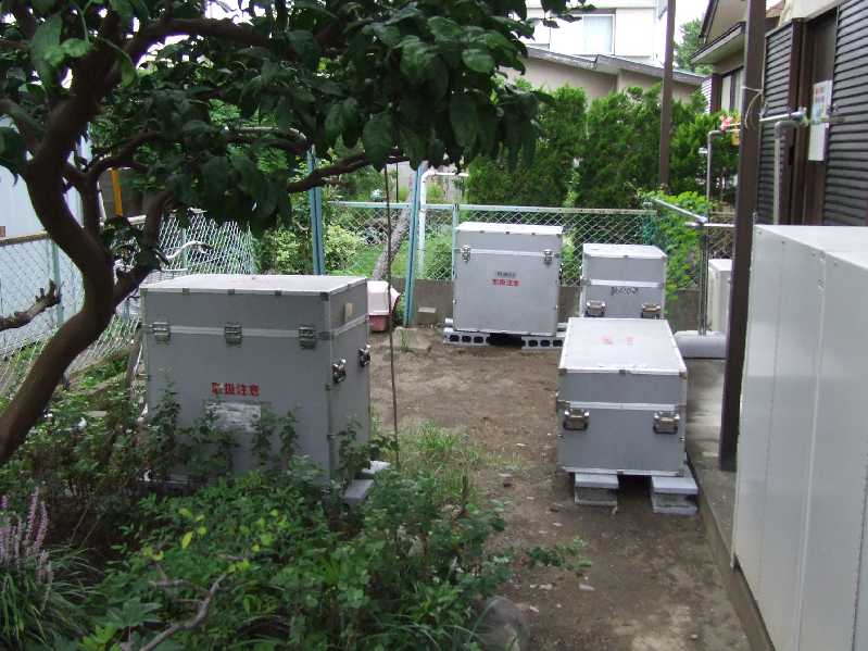 �V���N�}�y�c at Home