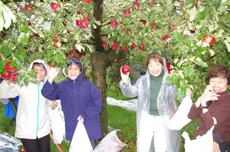 �V���N�}�y�c at Home