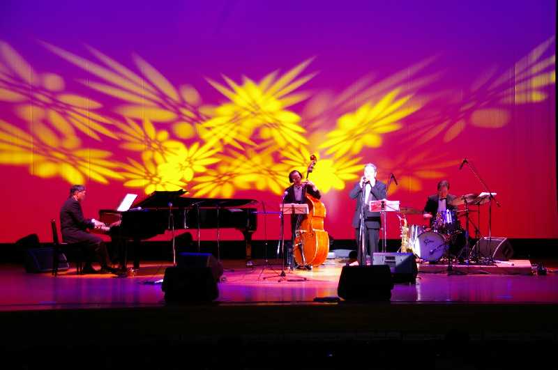 �V���N�}�y�c at Home