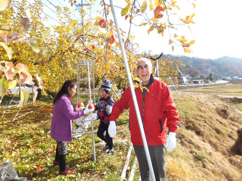 �V���N�}�y�c at Home